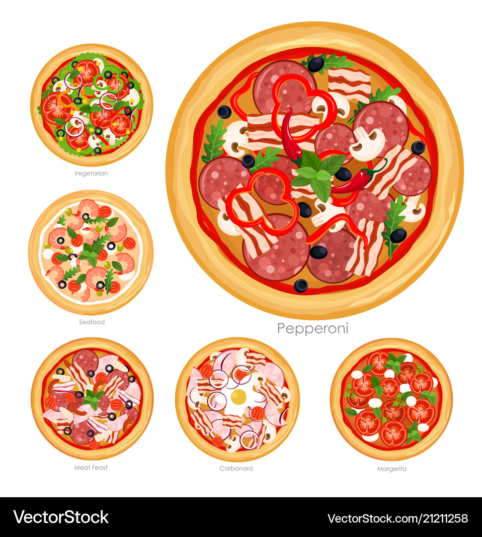 Diverse Pizza Collection vector image