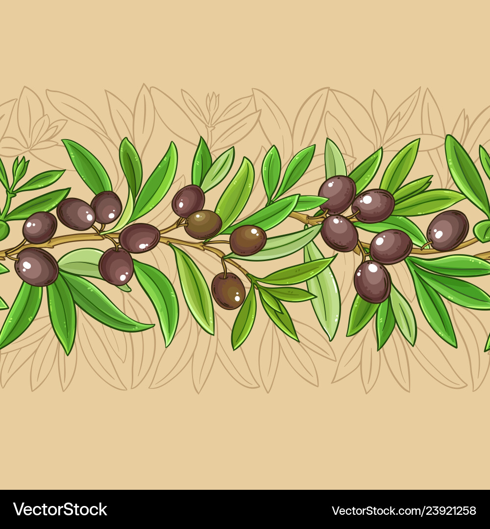 Olive Branch Pattern Vector Image