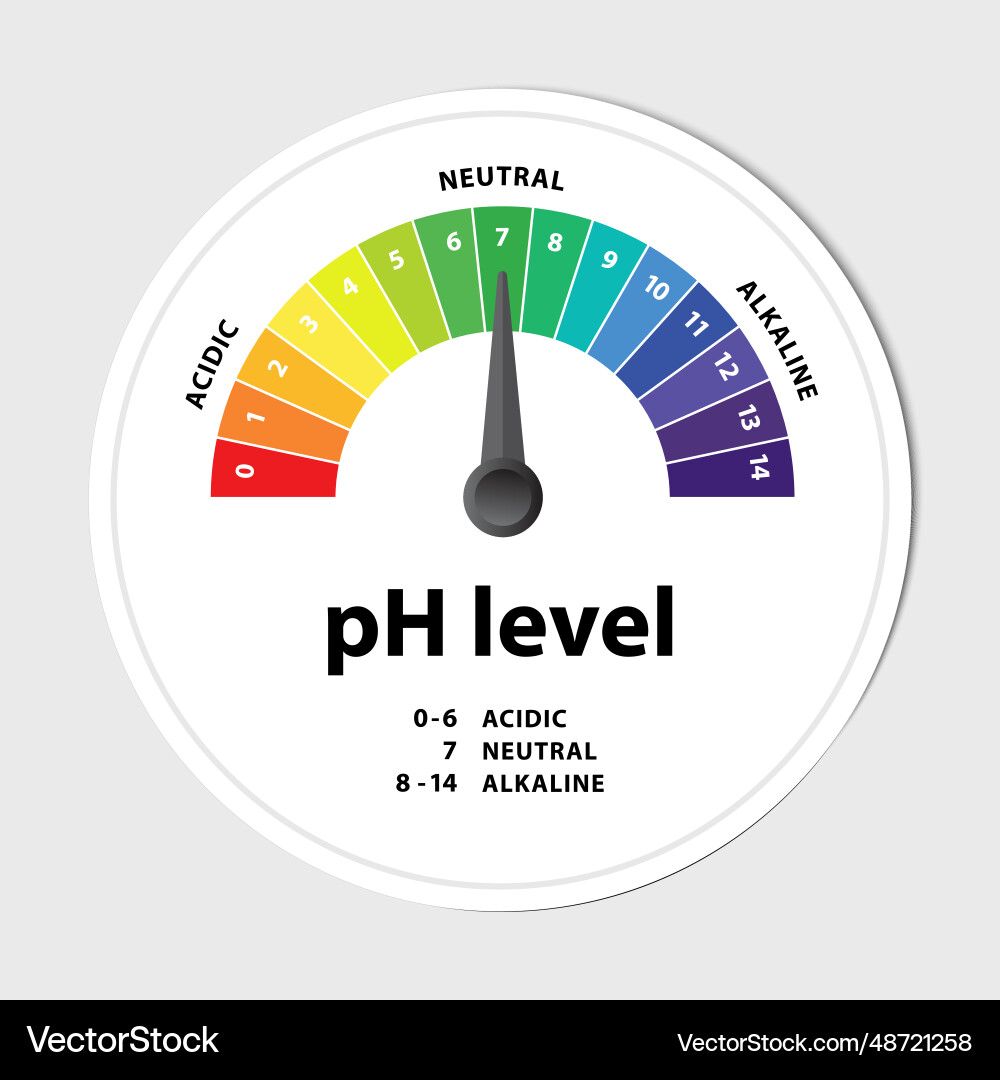 Ph level scale chart indicator diagram value Vector Image