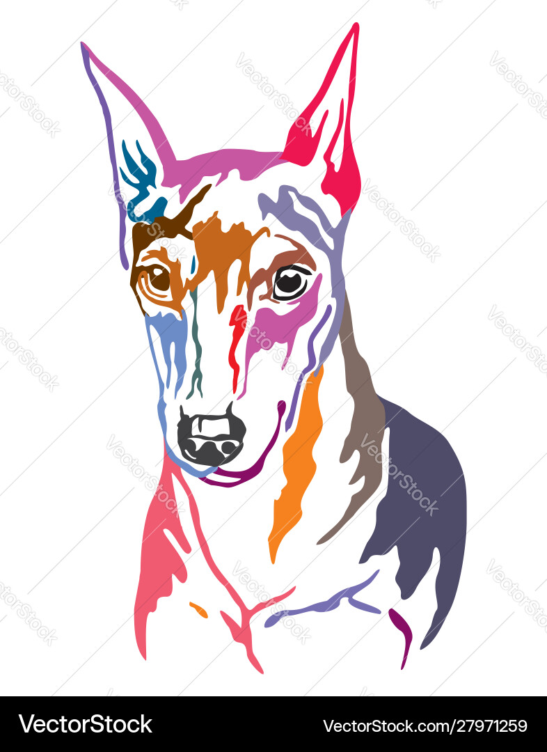 Colorful Miniature Pinscher Portrait Vector Image