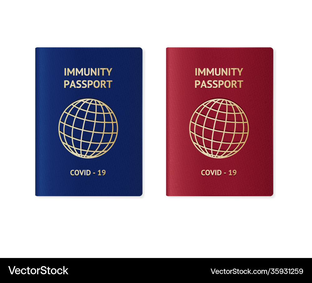 Realistic detailed 3d immune passport set vector image