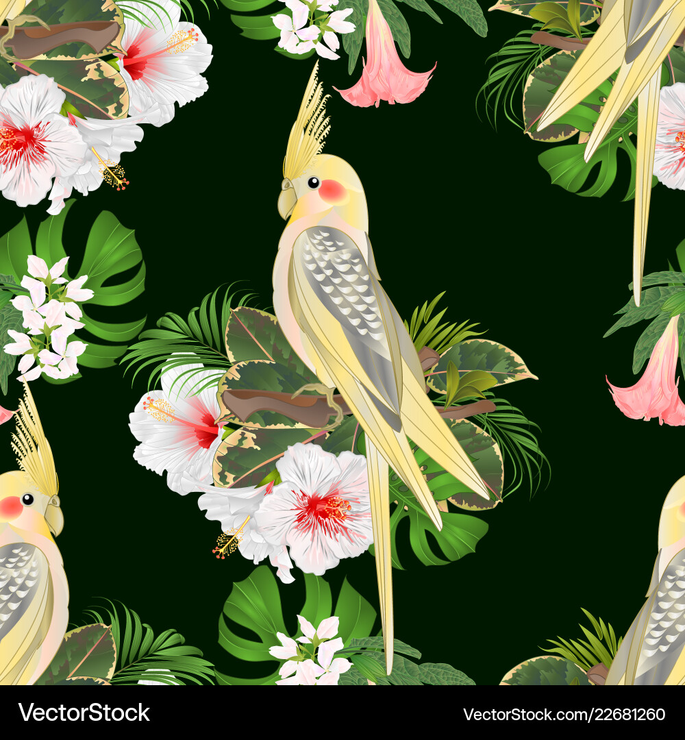 Cute Yellow Cockatiel with Hibiscus Vector Image
