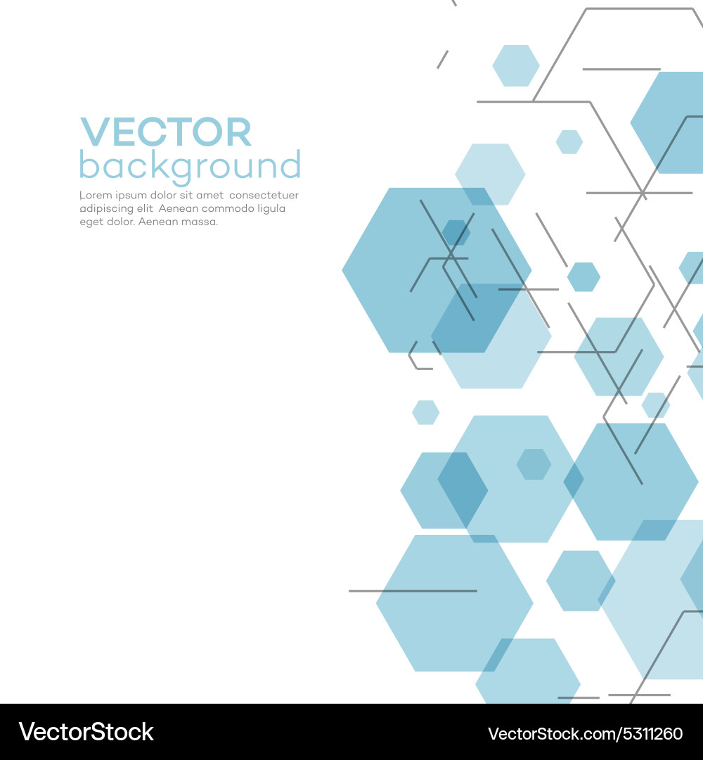 Modern Hexagon Pattern Background vector image