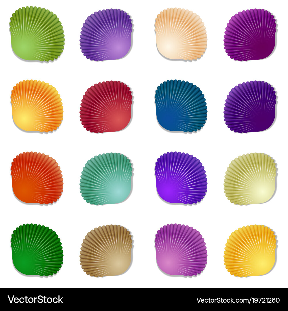 Seamless colorful seashell template background vector image
