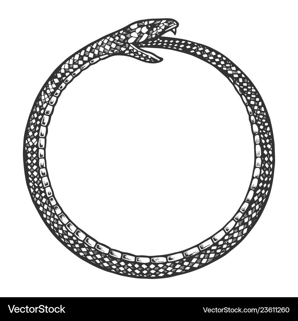 Snake Scratchboard Engraving Royalty Free Vector Image