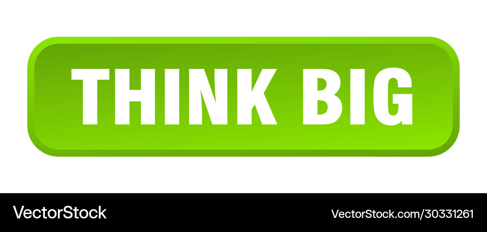 Think big button square 3d push vector image