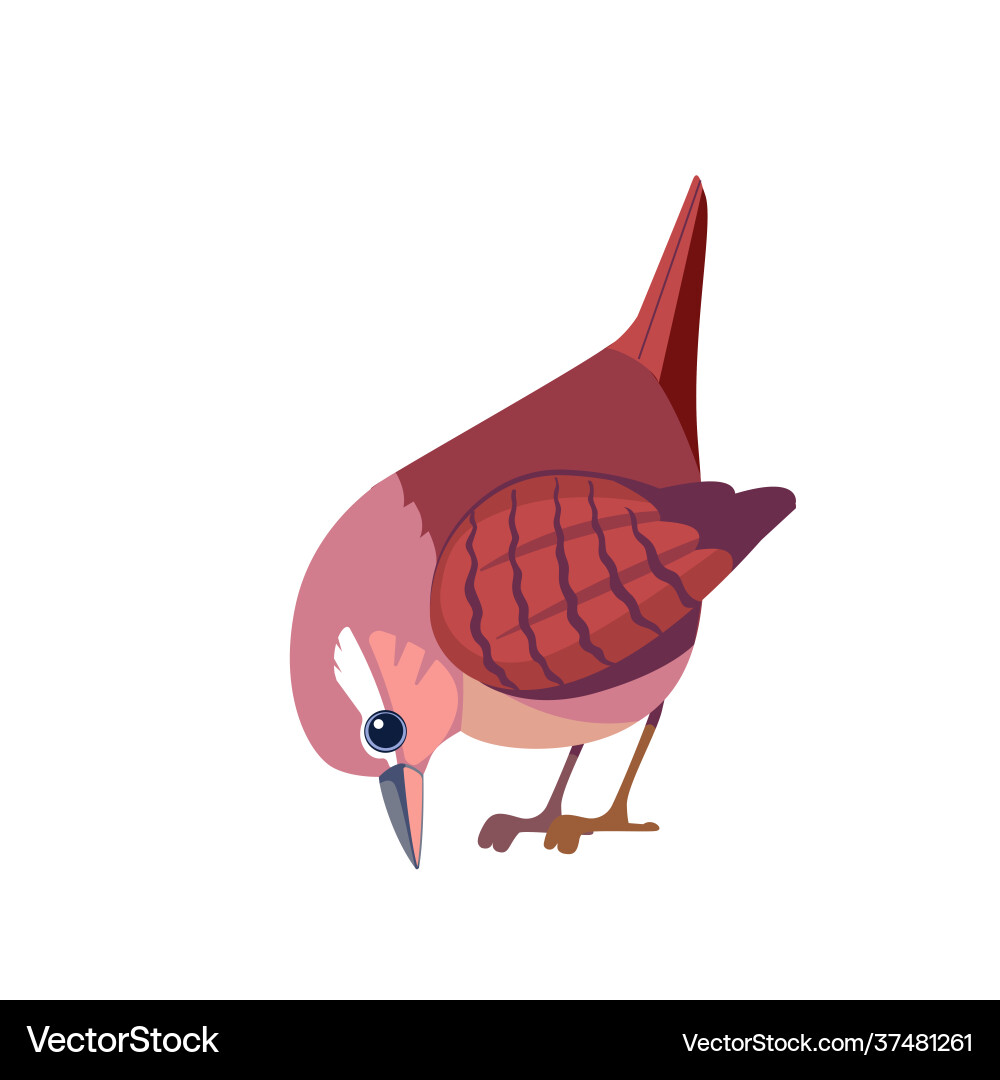 Wren bird cartoon flat beautiful character Wren bird cartoon flat beautiful character vector image