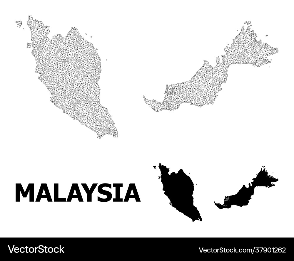 Polygonal 2d mesh high resolution map Polygonal 2d mesh high resolution map vector image