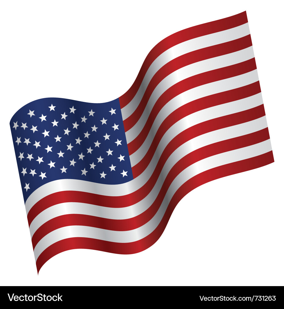 American Flag Waving Proudly vector image