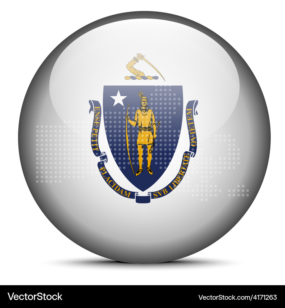 Map with dot pattern on flag button of usa vector image