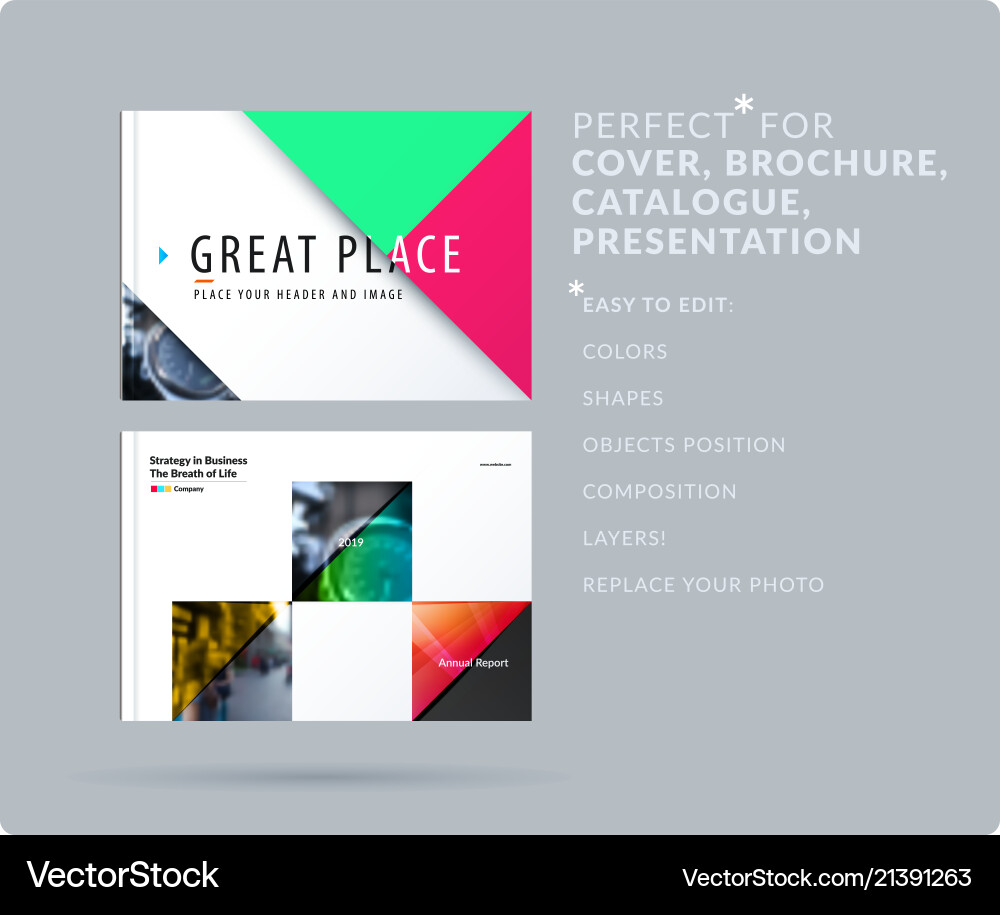 Triangular Presentation Template vector image
