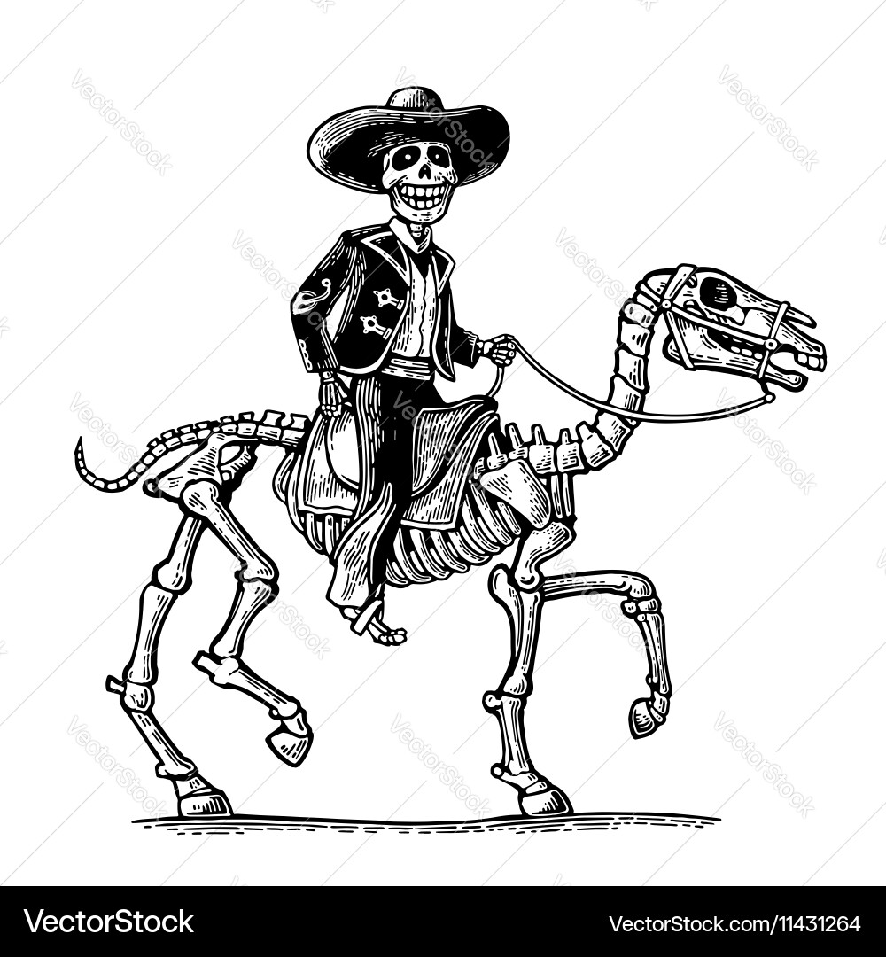 Day of the Dead Rider Vector Image