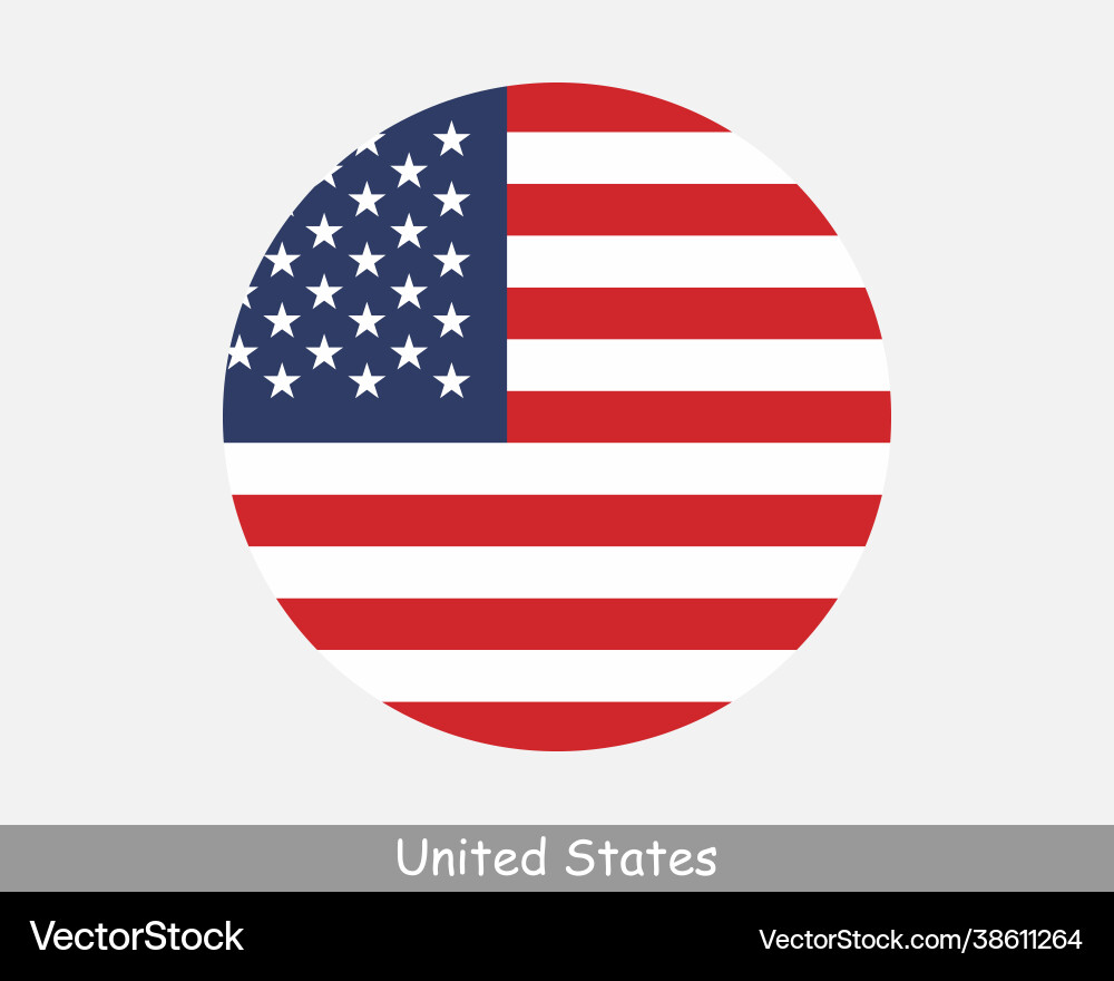 USA Round Flag Icon vector image