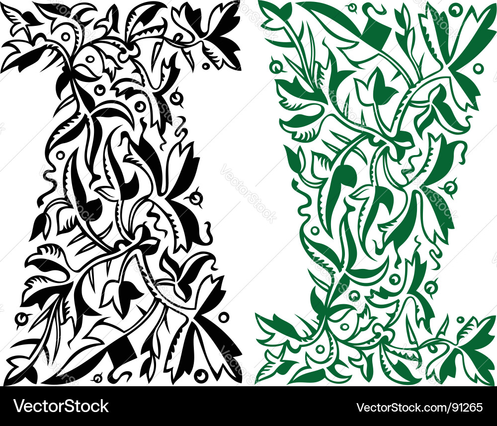 Floral ornament Vector Image