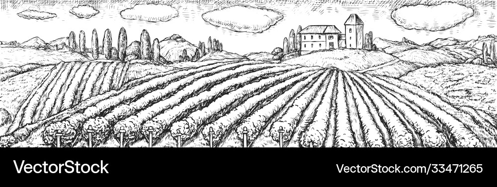 Weinbergpflanzung Feld ländliche Szenenskizze Weinbergpflanzung Feld ländliche Szenenskizze vektorbild