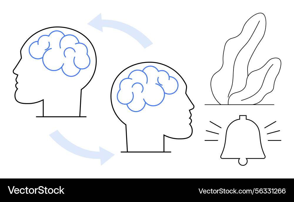 Brain Process & Connection Vector Image