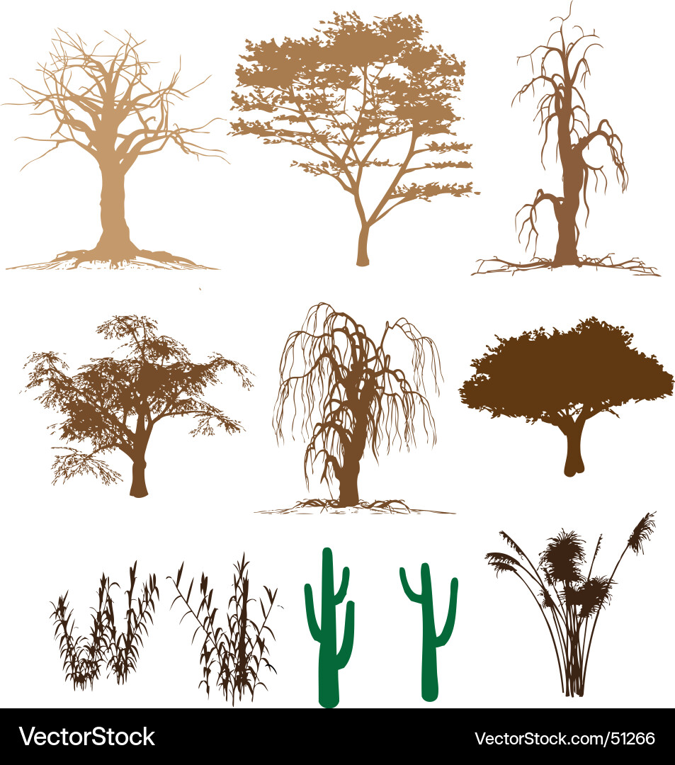 Trees vector image