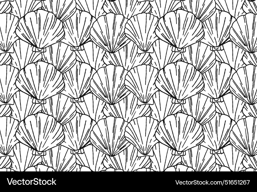 Beautiful seashell pattern on a white background vector image