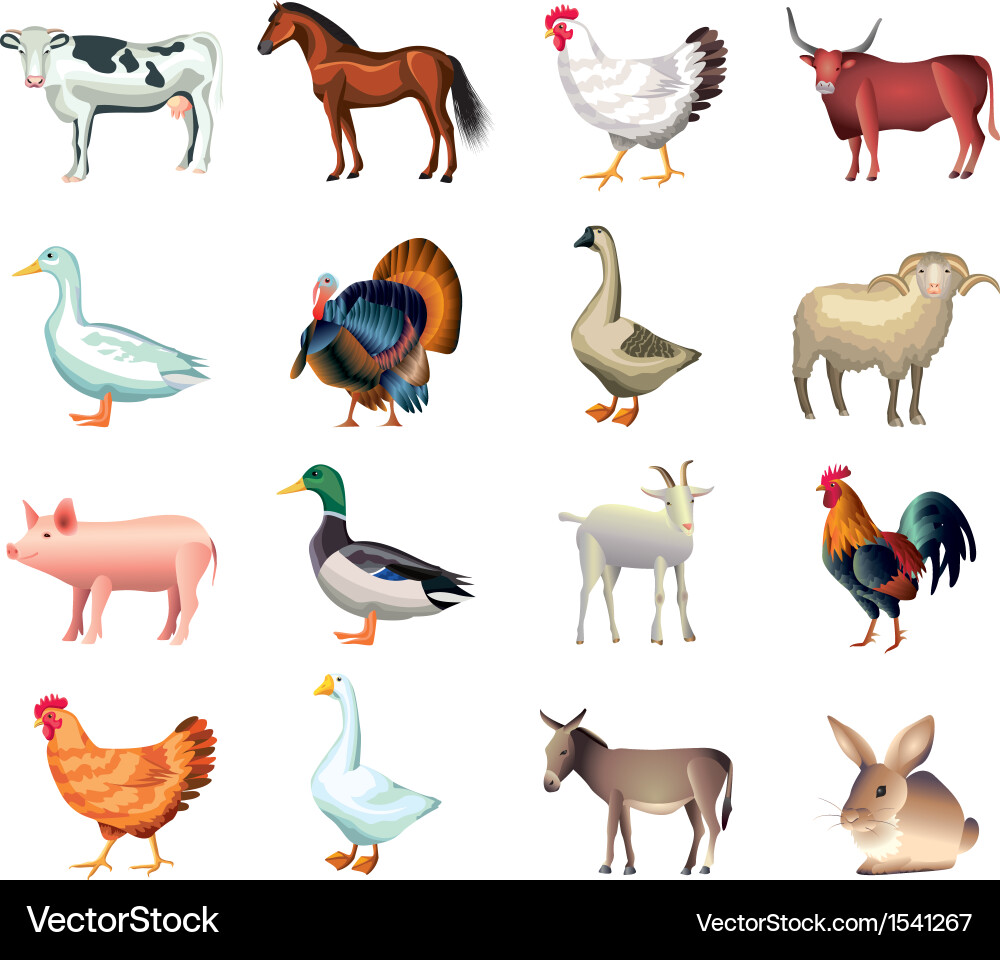 Farm Animals Collection vector image