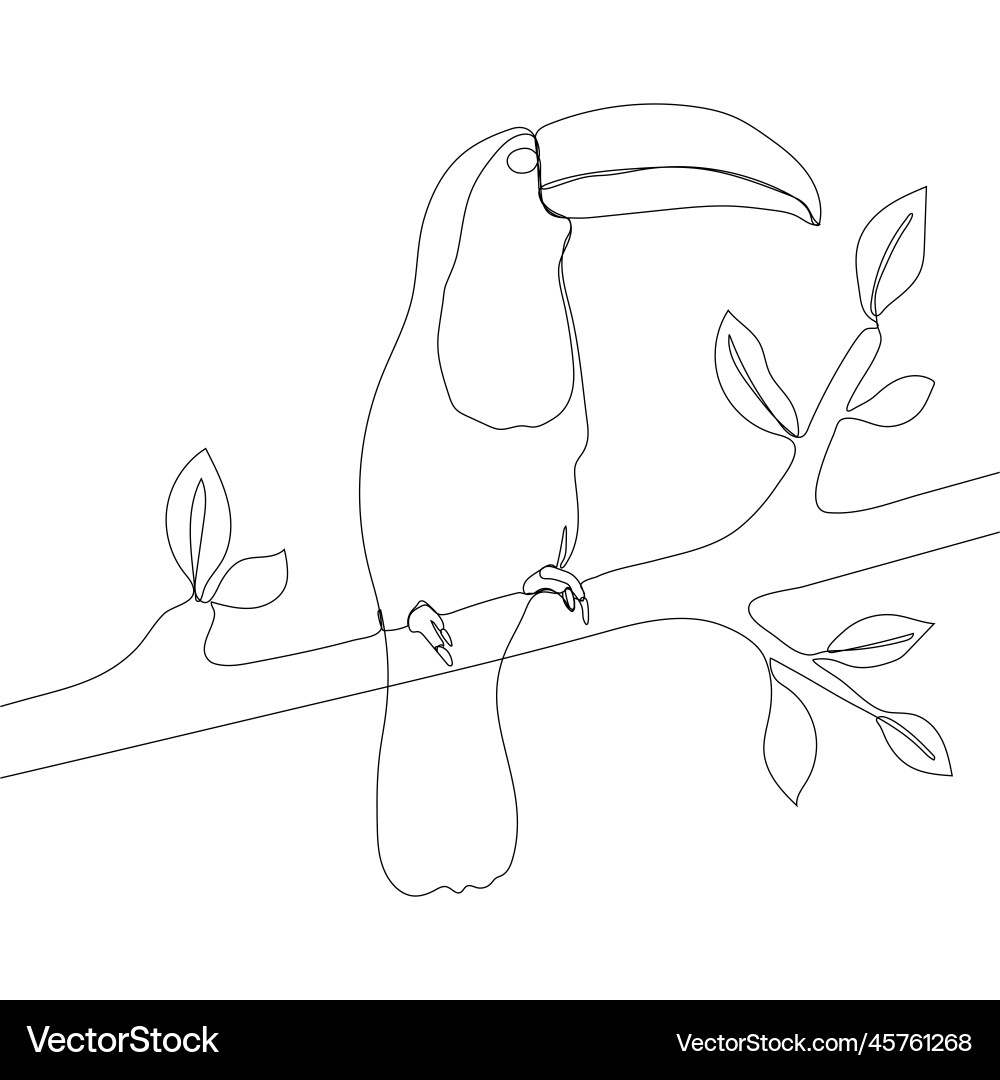 Continuous line pecan bird Continuous line pecan bird Vector Image