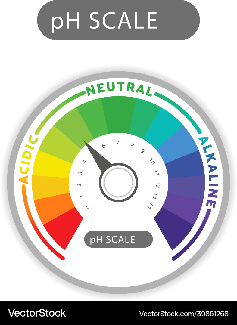 Ph scale indicator chart diagram analysis Ph scale indicator chart diagram analysis vector image