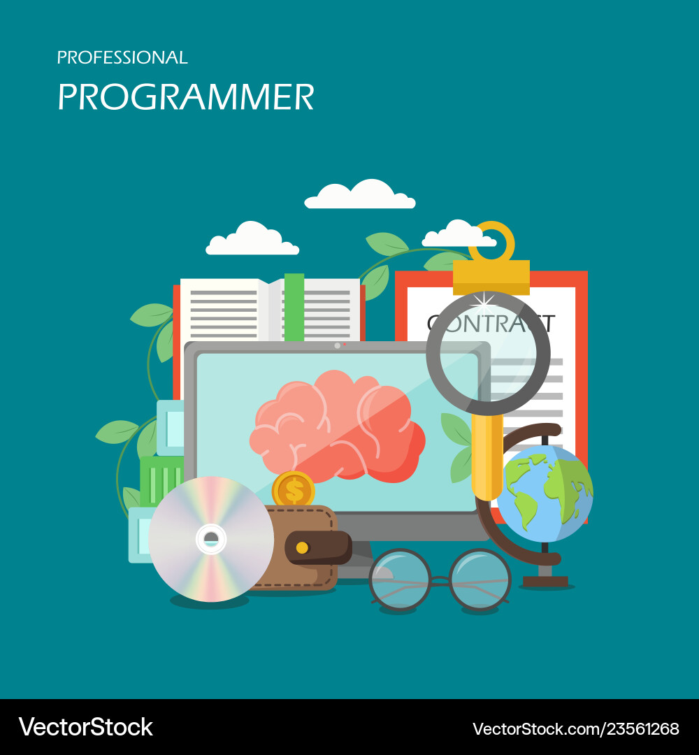 Professional programmer flat style design vector image