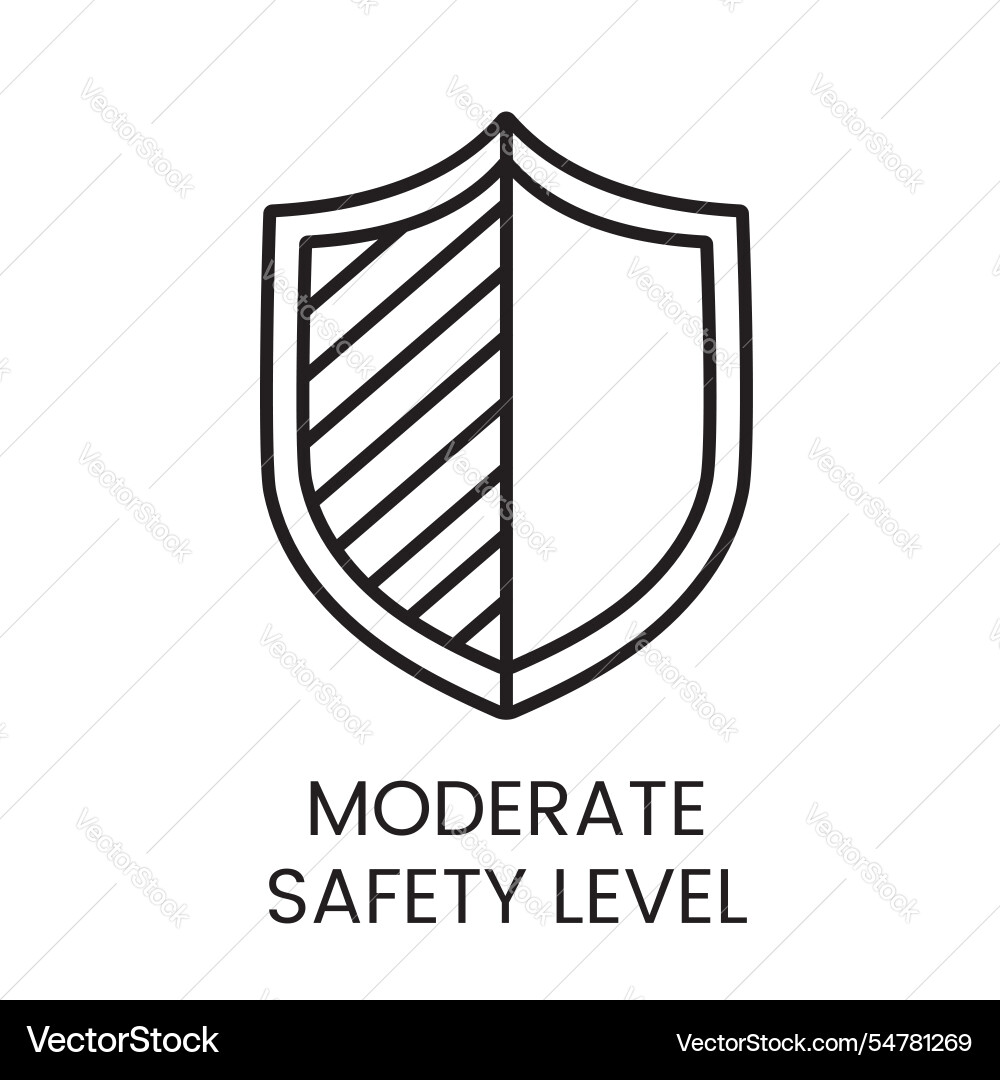 A linear icon of shield split into two vector image
