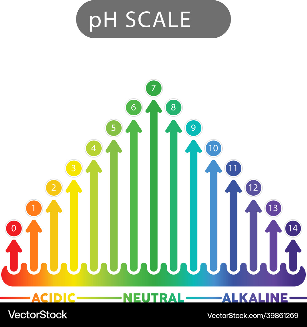 Ph scale indicator chart diagram analysis Ph scale indicator chart diagram analysis vector image