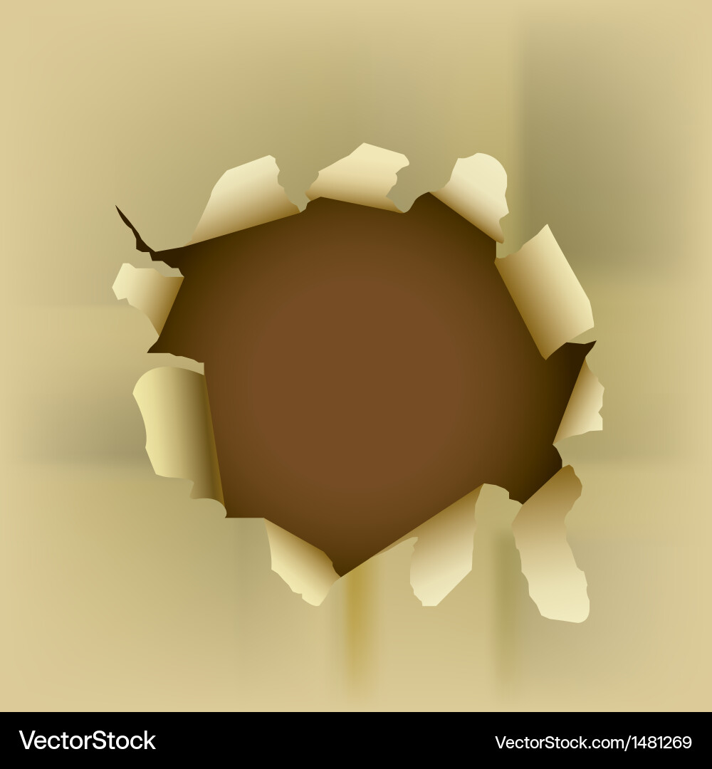 Torn Paper Fragment vector image