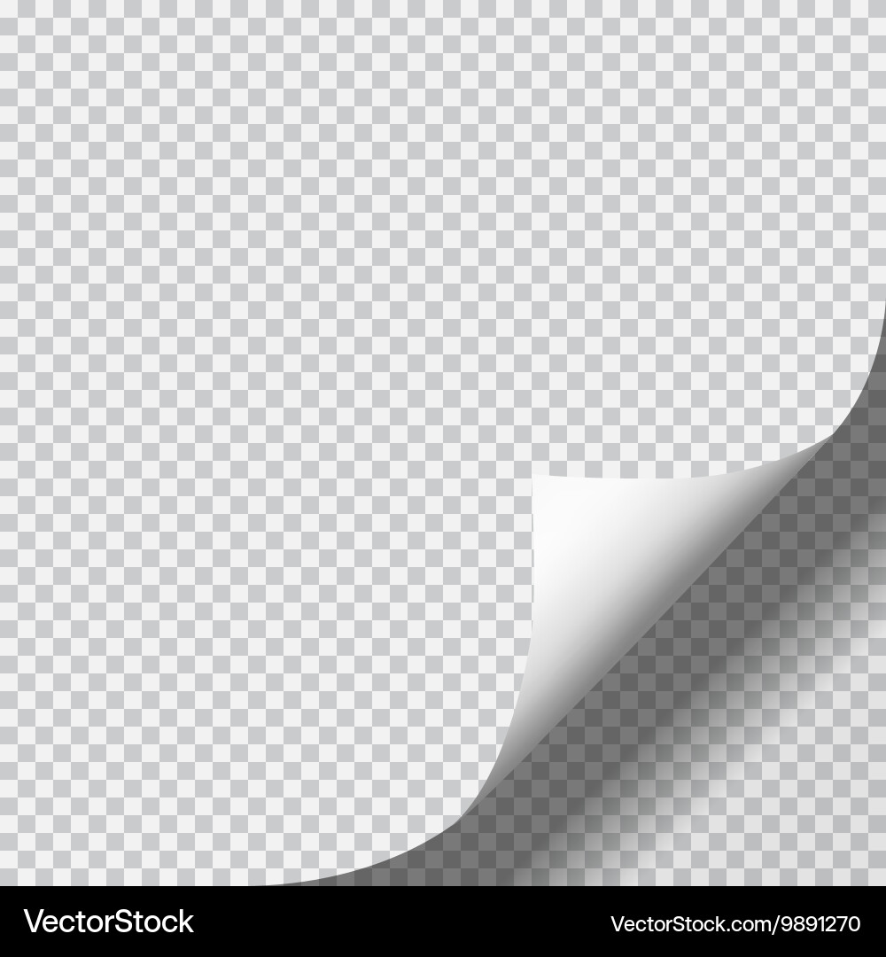Page curl with shadow on blank sheet of paper vector image