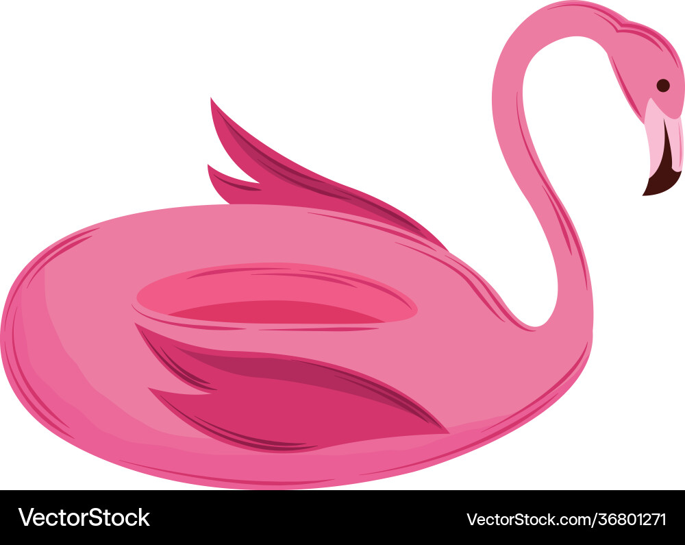 Flamingo float isolated vector image