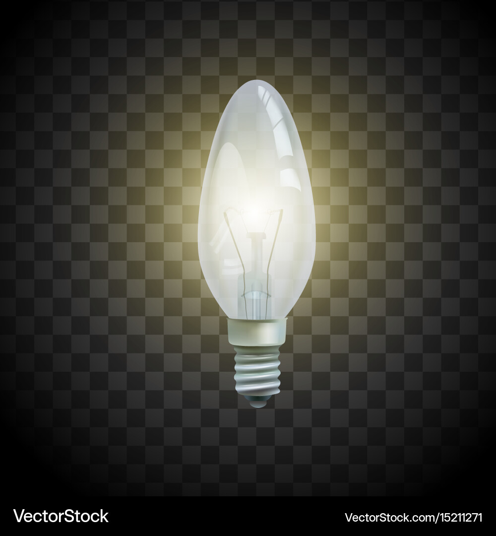 Light bulb on transparent background image Vector Image