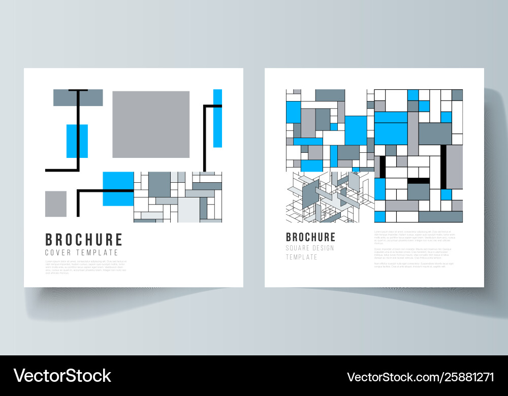 Minimal layout two square format Minimal layout two square format vector image