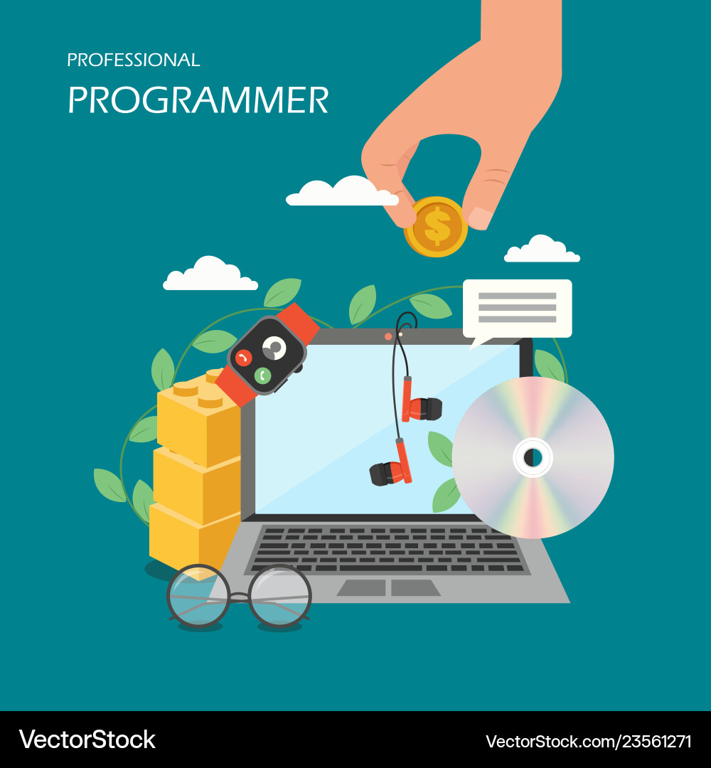 Professional programmer flat style design Vector Image