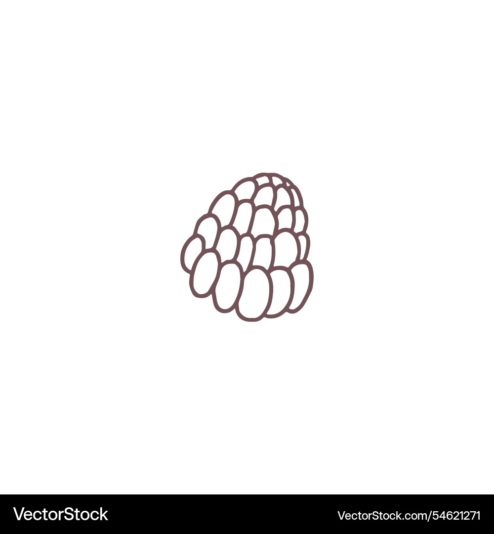 With raspberry sketch image With raspberry sketch image vector image