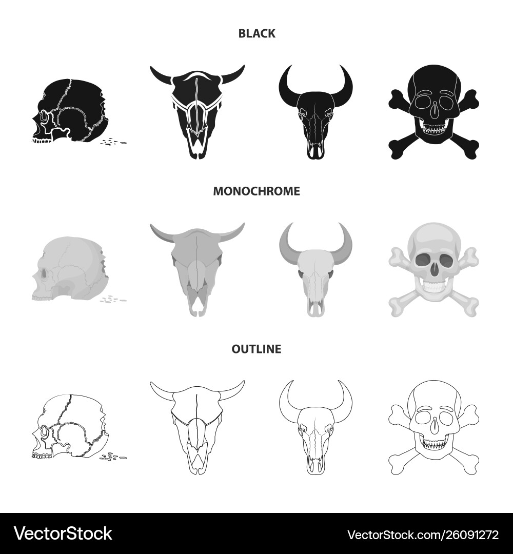 Isolated object skeleton and character logo Vector Image