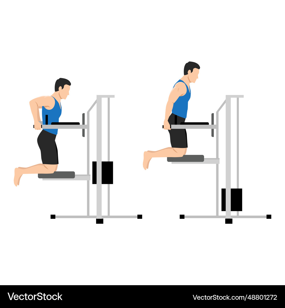Man doing dips on parallel bars in the gym Man doing dips on parallel bars in the gym vector image