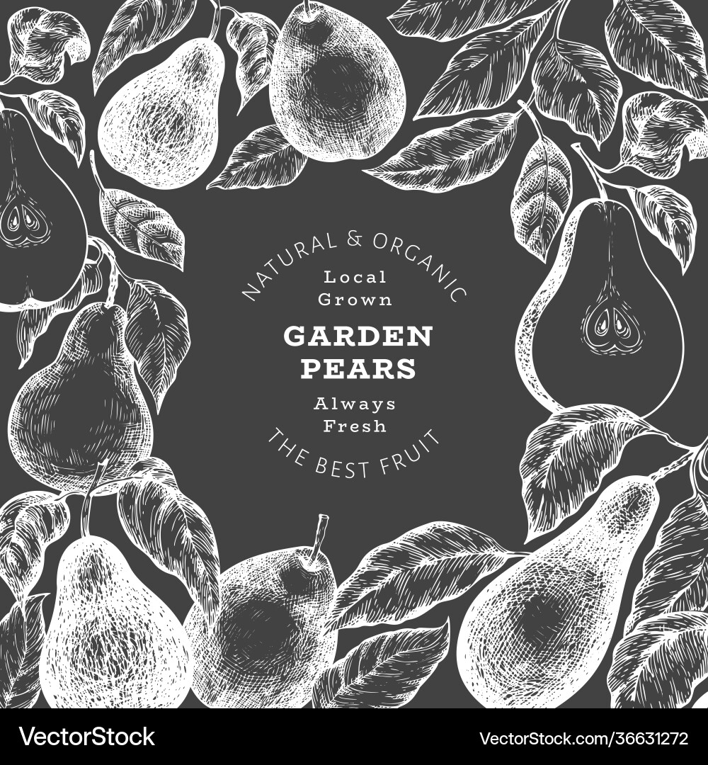Pear Design Vorlage Hand gezogen Garten Obst Pear Design Vorlage Hand gezogen Garten Obst vektorbild