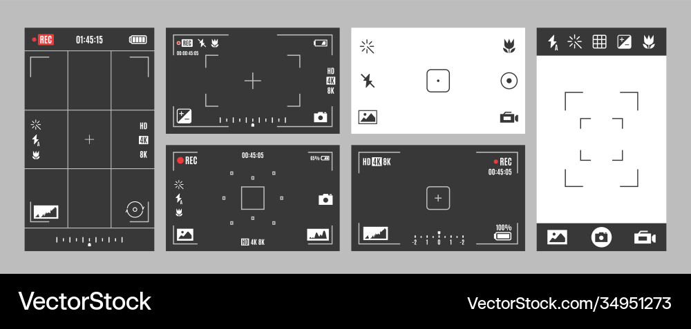Camera Viewfinder with Exposure Controls vector image