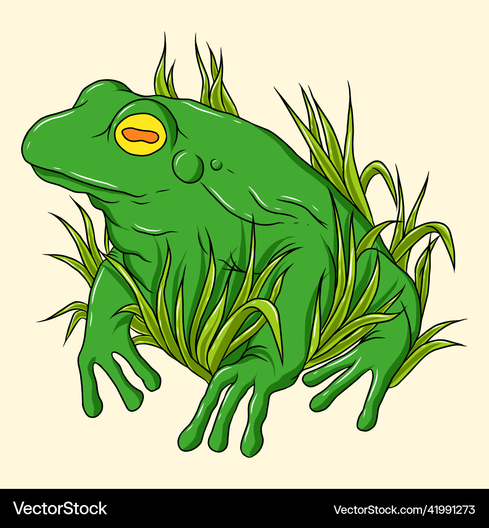 Frog isolated animal on white background Frog isolated animal on white background vector image