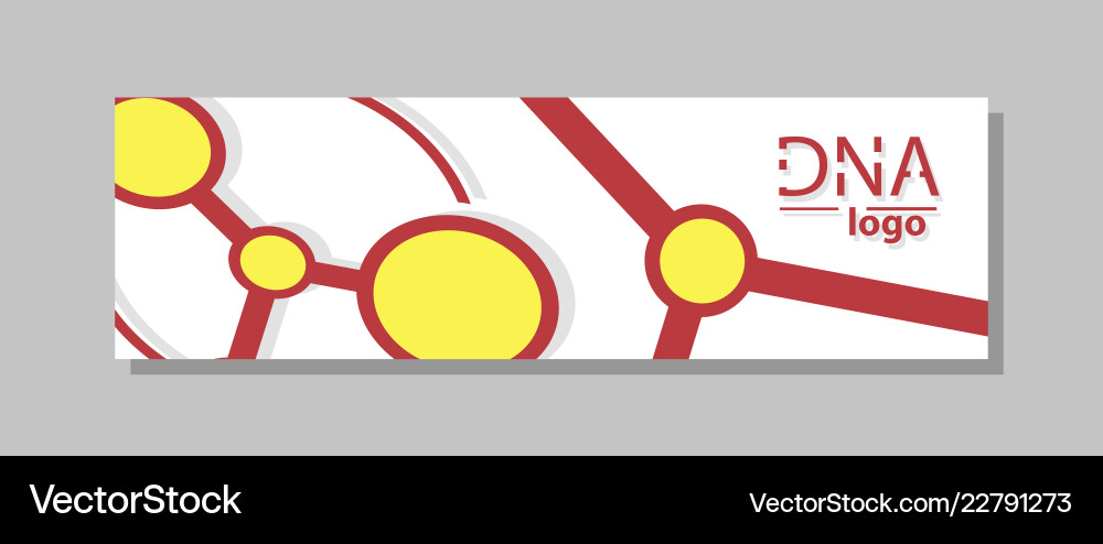 Molecular structure with connected lines and dots vector image