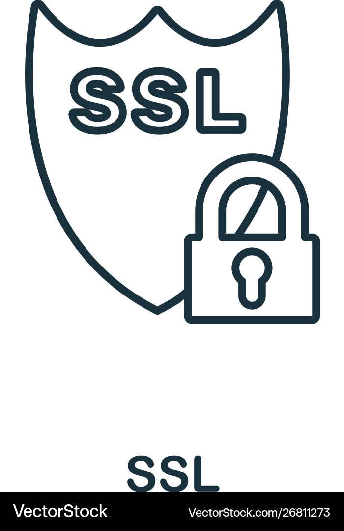 Ssl icon thin outline style design from web Ssl icon thin outline style design from web vector image