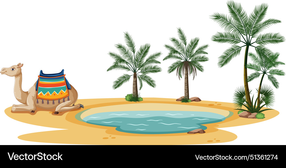 A camel beside water pond A camel beside water pond vector image