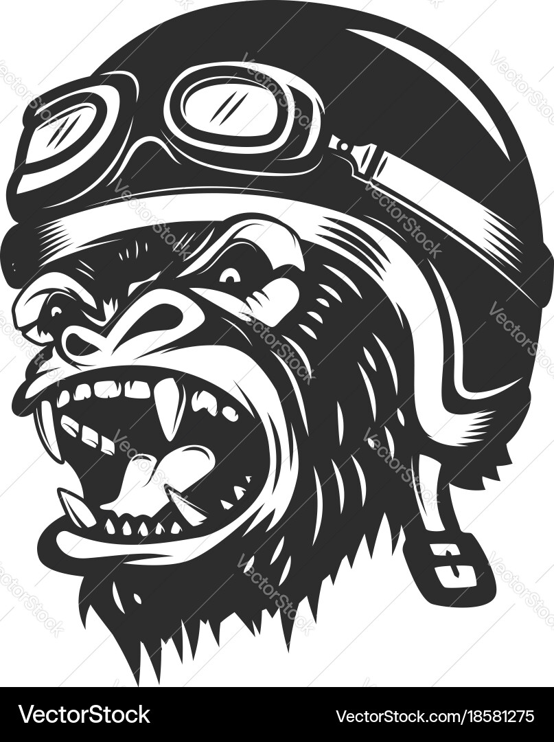 Angry Gorilla Racer Vector Image