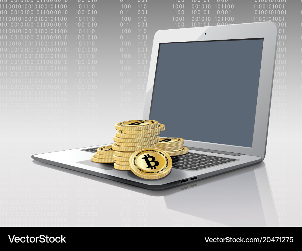 Computer with bitcoin stacks vector image