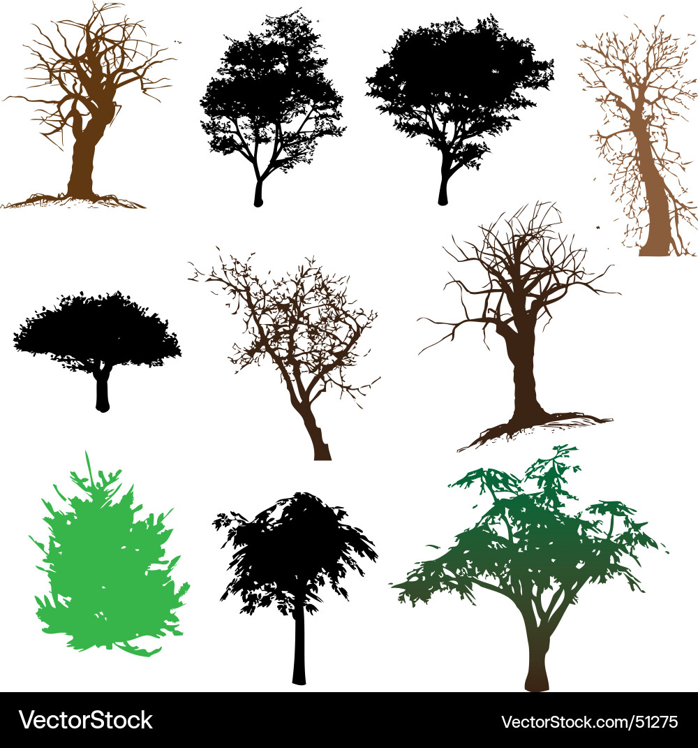 Dense Woodland Silhouette vector image