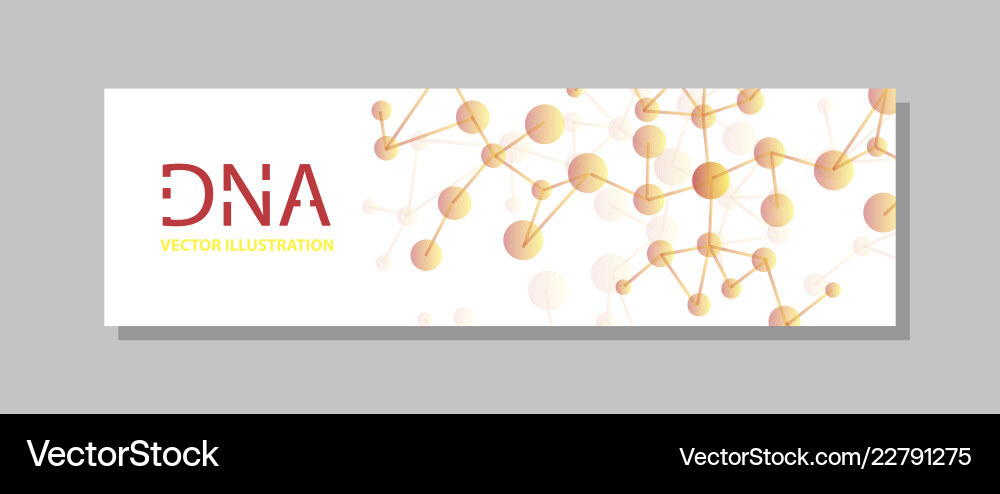 Molecular structure with connected lines and dots Molecular structure with connected lines and dots vector image