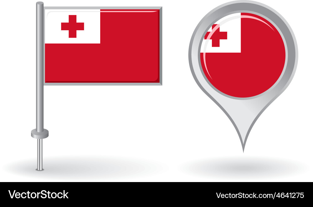 Tonga Flag Map Pointer Icon vector image