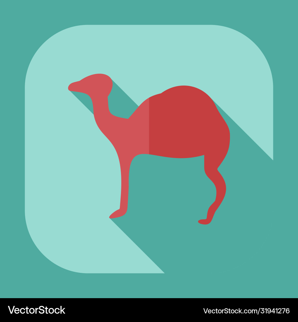 Flat concept set modern design with shadow camel Flat concept set modern design with shadow camel vector image