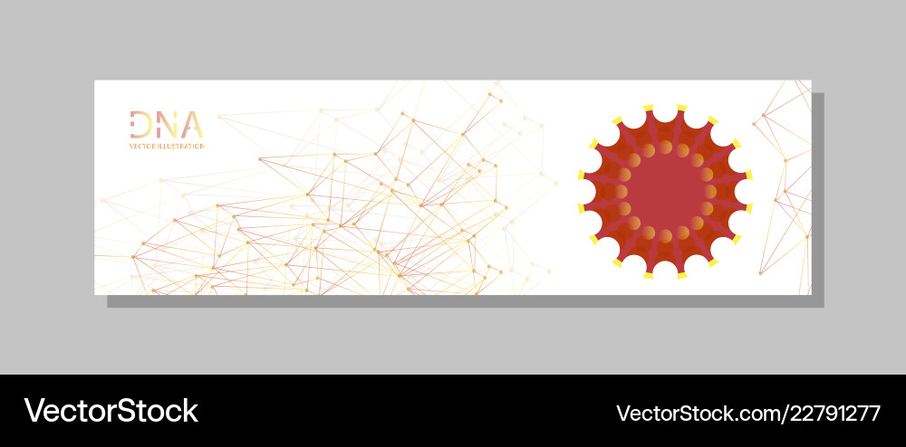 Molecular structure with connected lines and dots vector image